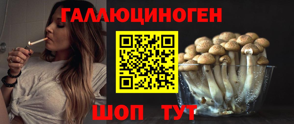 наркотики  Галлюциногенные грибы MAGIC MUSHROOMS  Вход с VPN  Кудрово  Галлюциногенные грибы Psilocybe 
